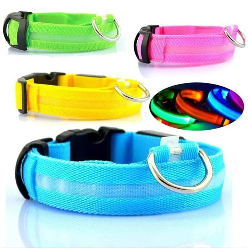 Pet collar that glows in the dark